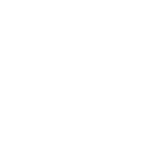 Elevandoconsciencia